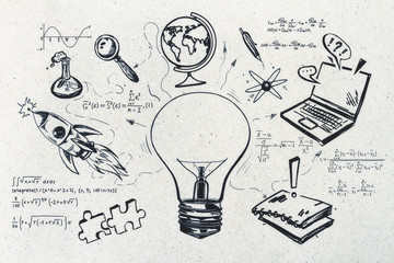 室内十大好养的绿植