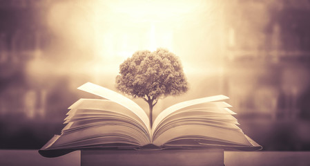 室内十大好养的绿植