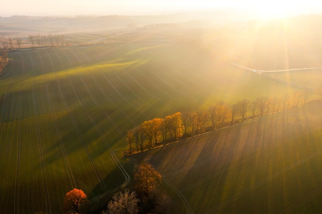《海底两万里》中写到潜艇上的人睡的床、穿的衣服、用来写字的笔和墨水是用什么做的？